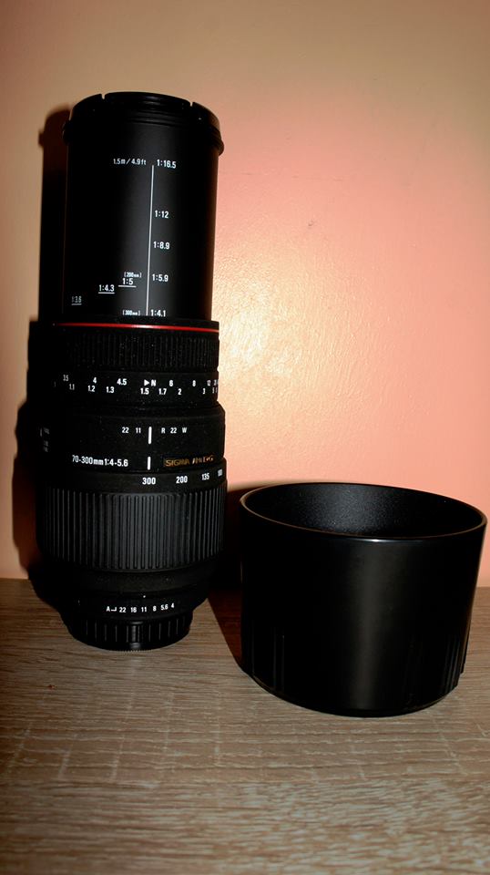 sigma apo dg 70-300mm.jpg