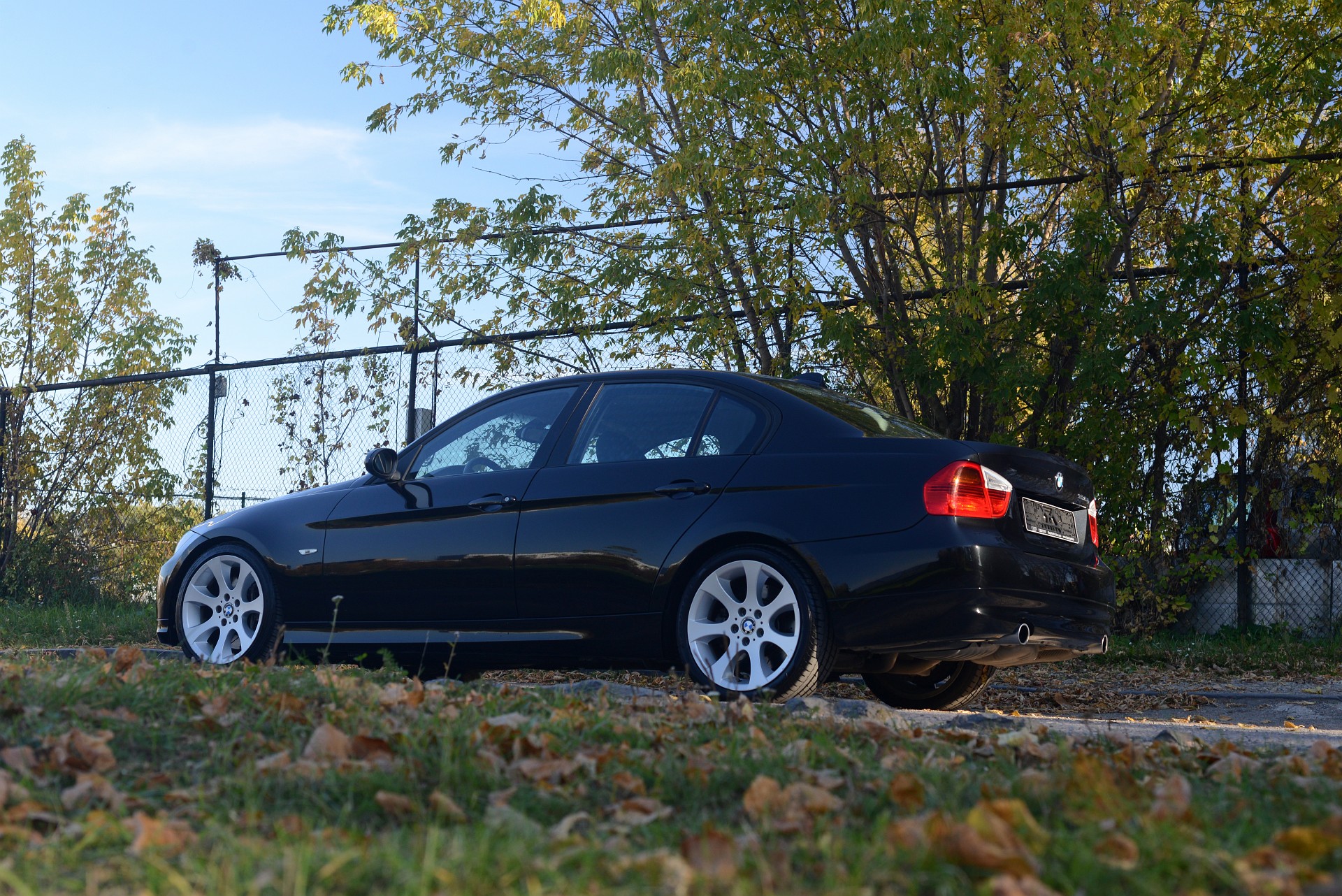 sized_DSC_1564c.jpg