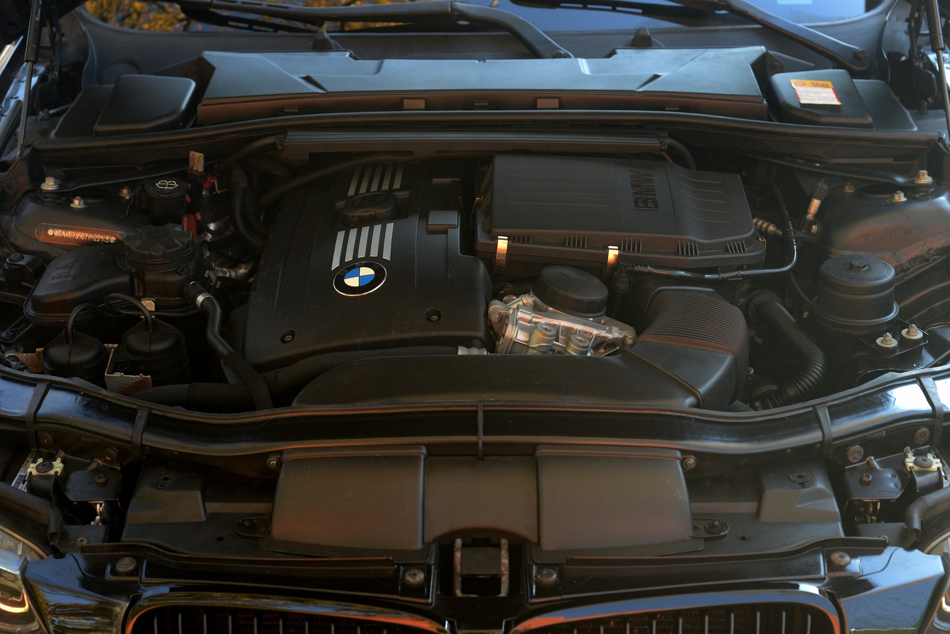 sized_DSC_1638c.jpg