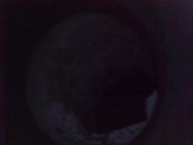Snapshot000022.jpg
