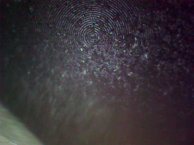 StillSnapshot000002.jpg