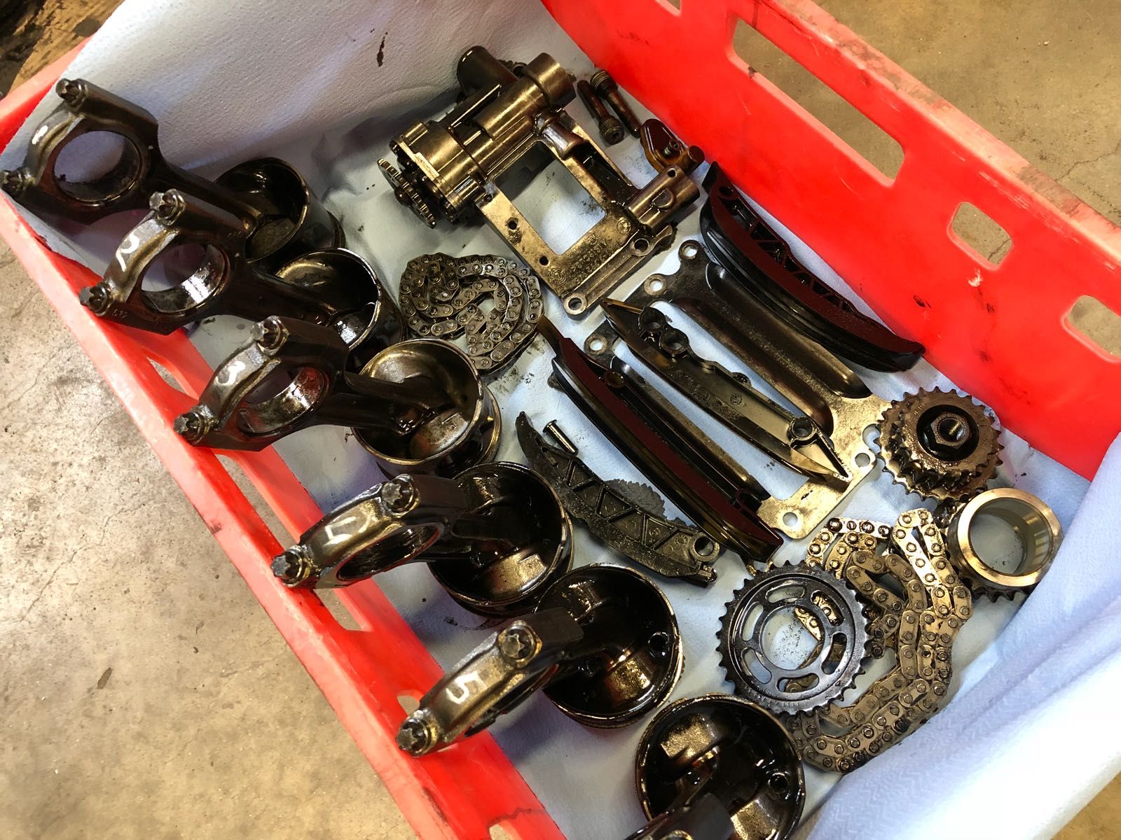TWZM6809.JPG
