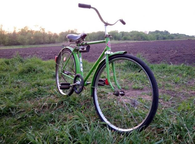 velosiped-pribaltka-detskii-orlenok--ereliukas-photo-e905.jpg