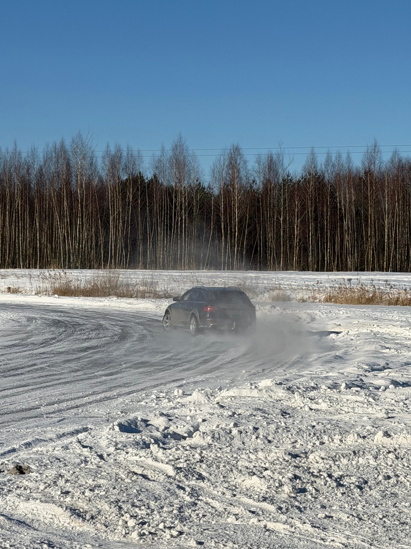 WhatsApp Image 2026-02-08 at 15.05.45 (1).jpeg