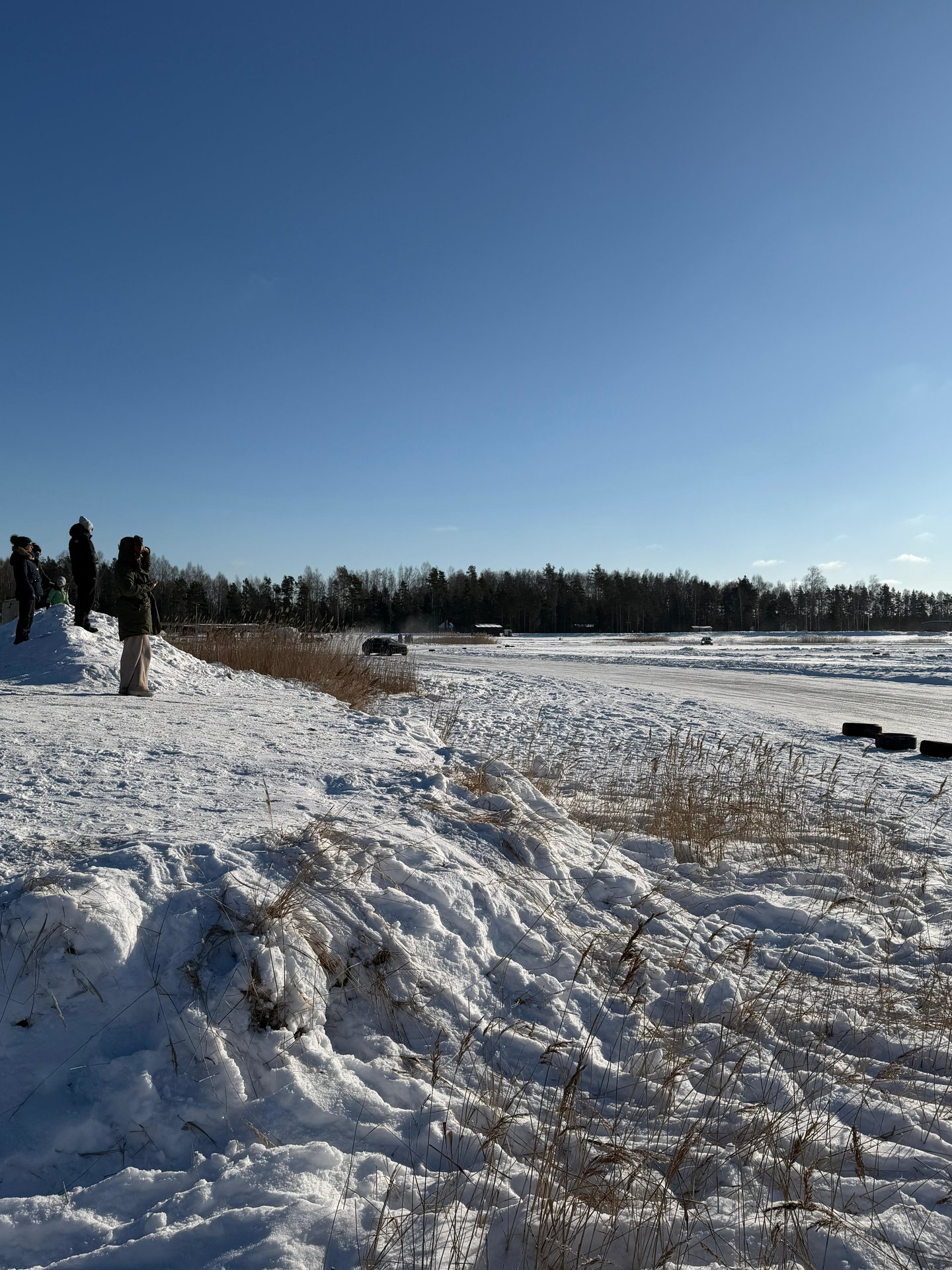 WhatsApp Image 2026-02-08 at 15.05.48 (1).jpeg