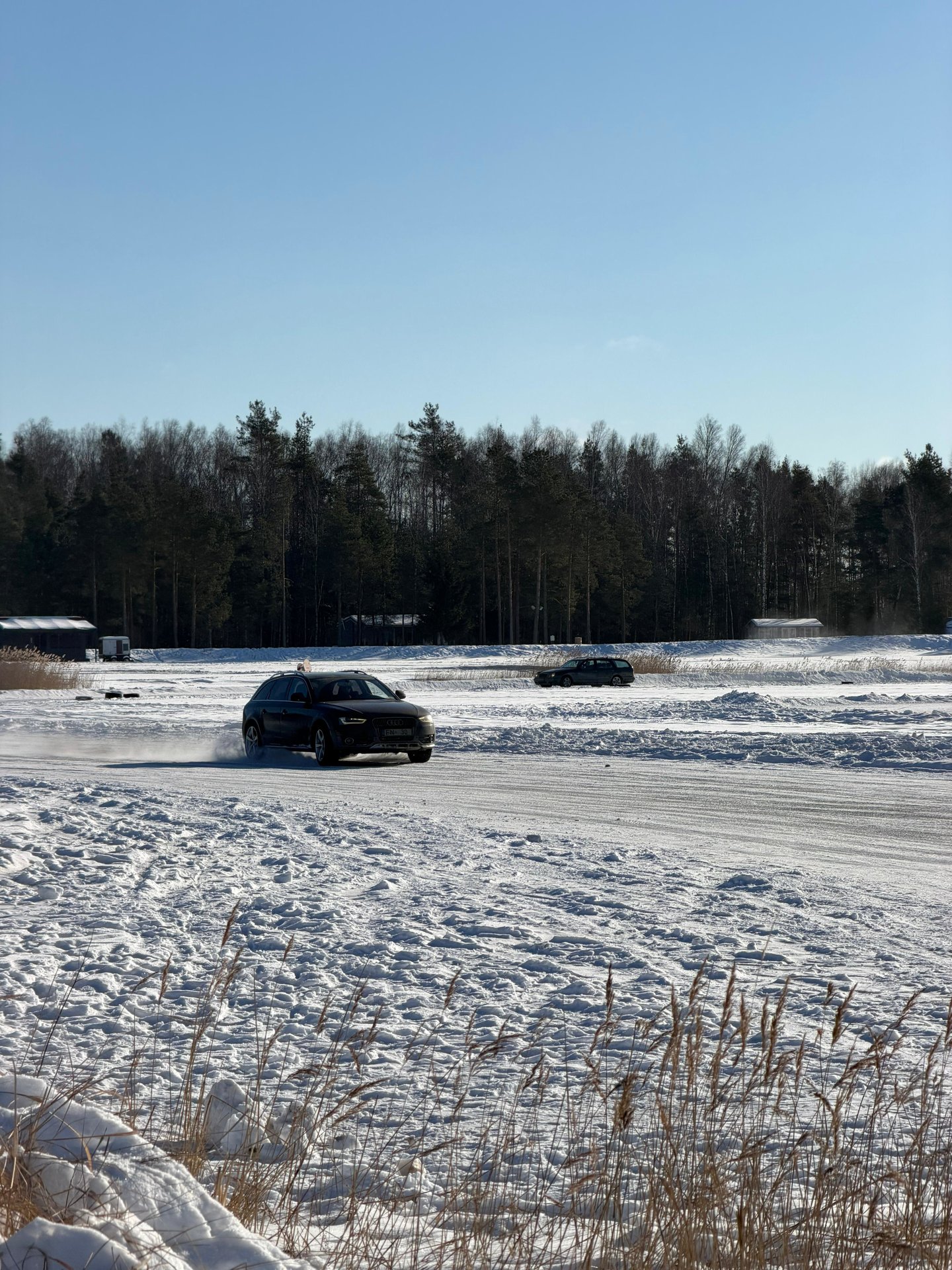 WhatsApp Image 2026-02-08 at 15.05.49.jpeg