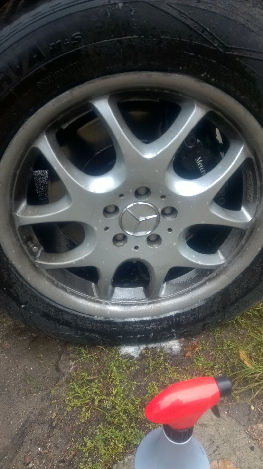 WP_20170919_007.jpg