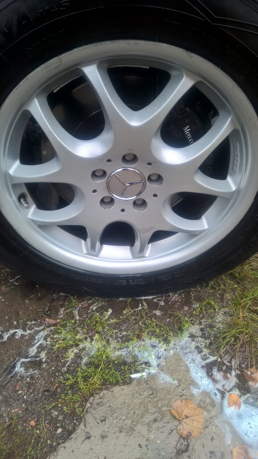 WP_20170919_14_21_29_Pro.jpg