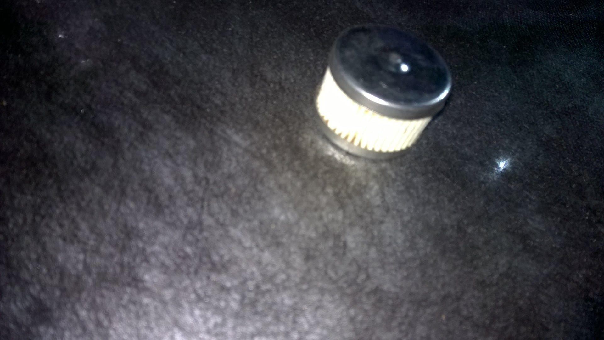WP_20190416_003.jpg