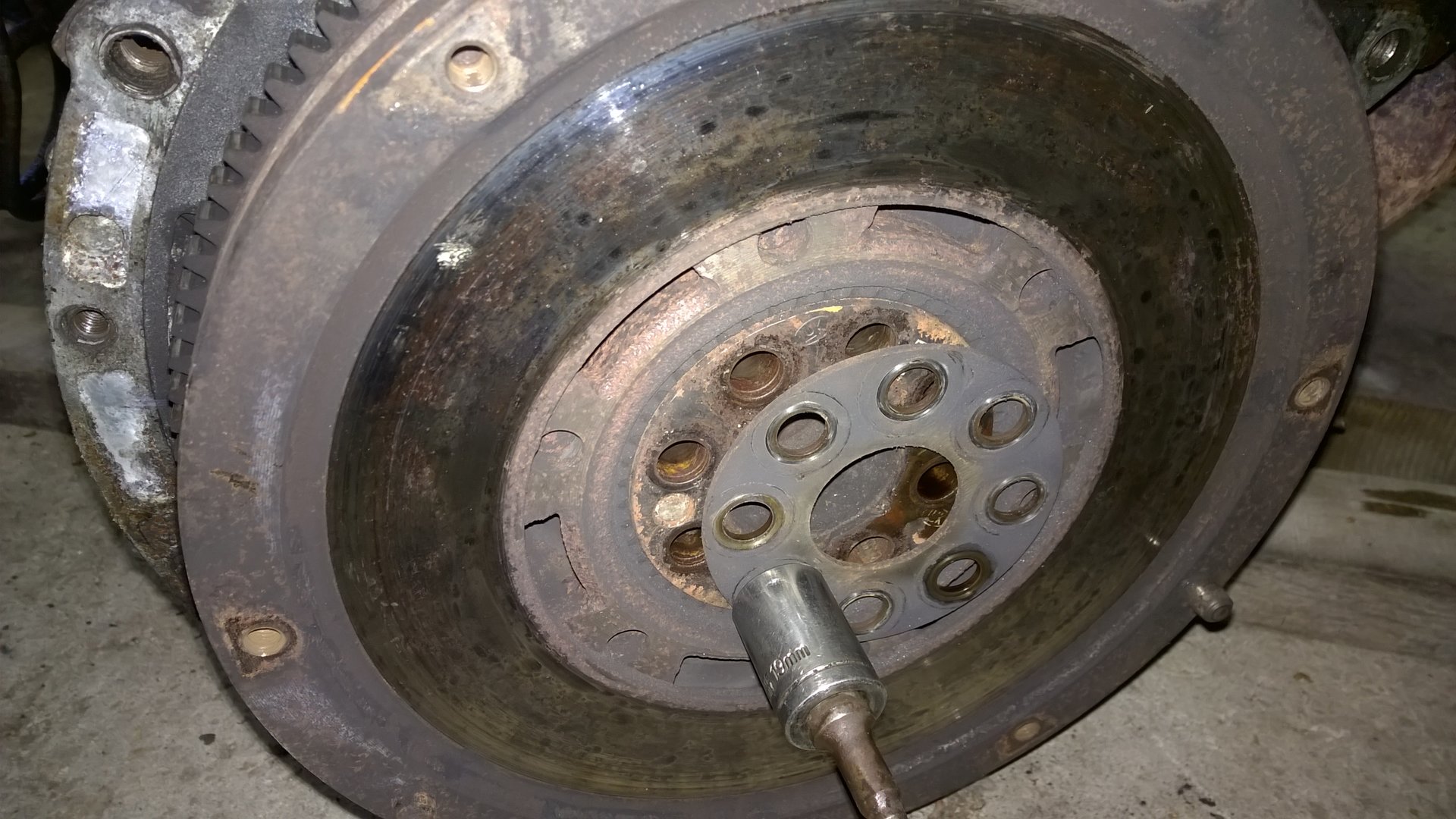 WP_20190623_001.jpg