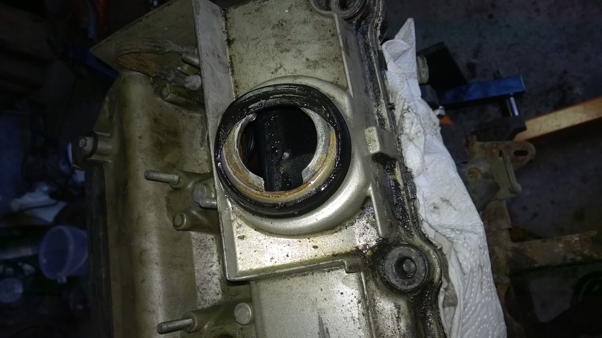 WP_20190623_007.jpg