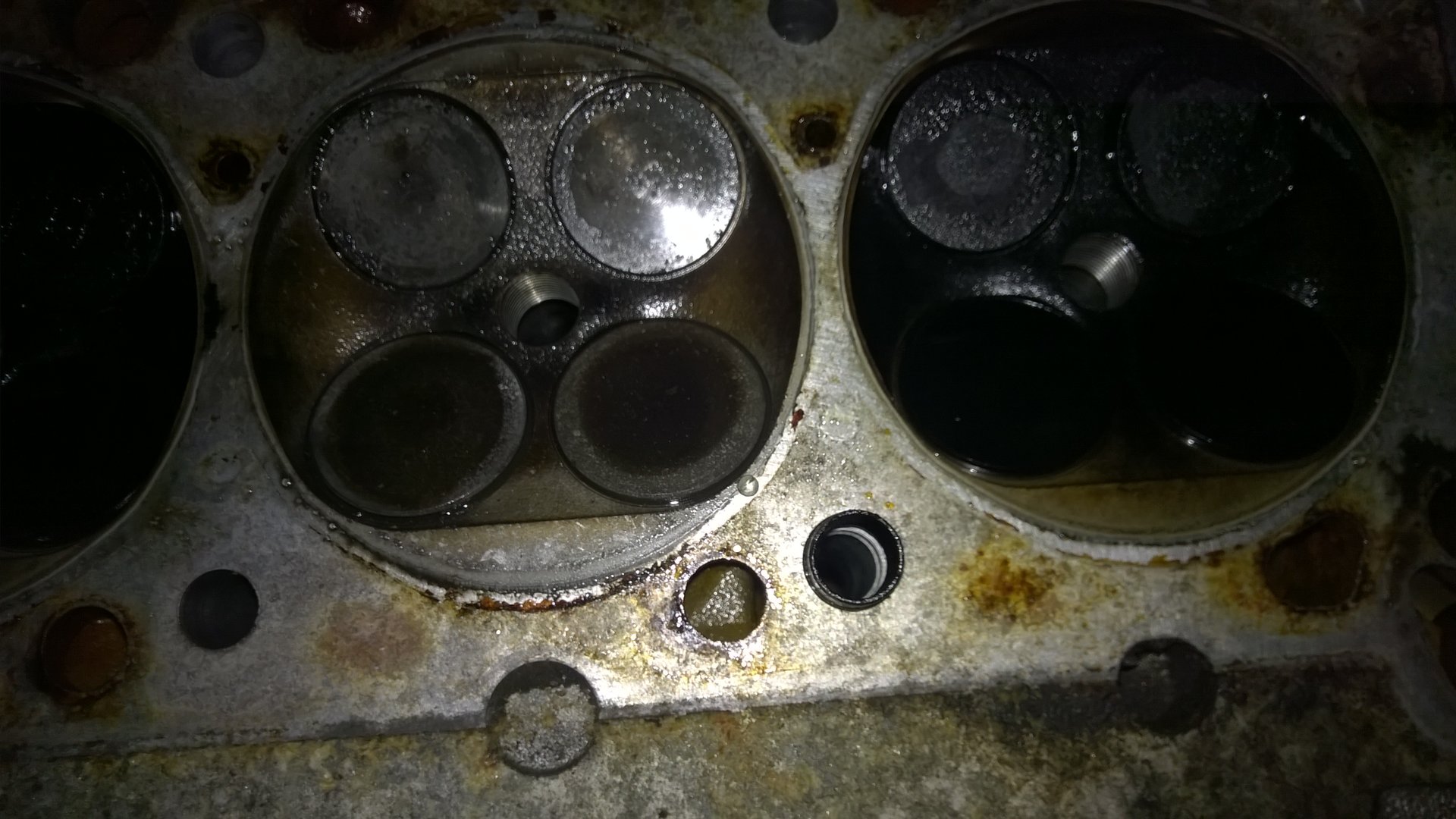 WP_20190623_022.jpg