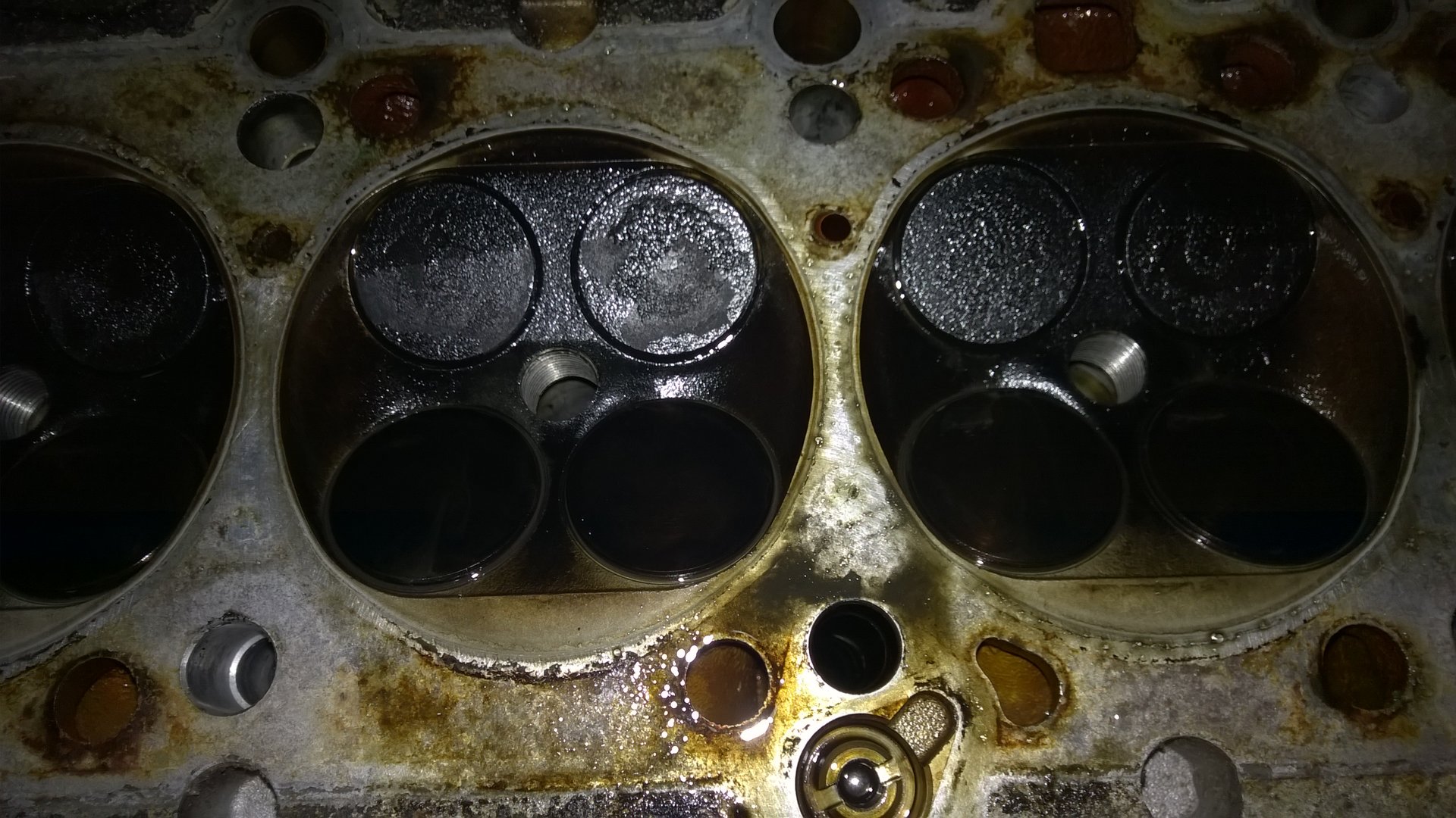 WP_20190623_024.jpg