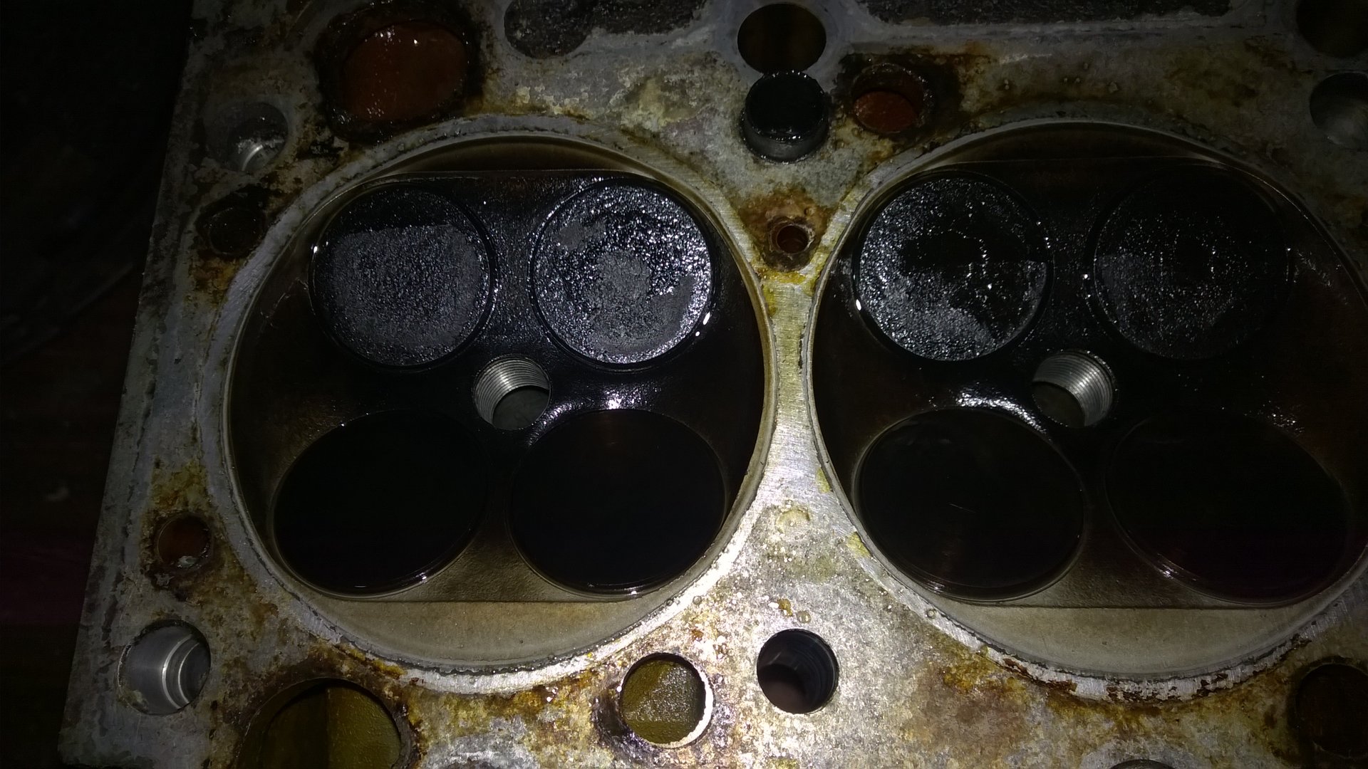 WP_20190623_025.jpg