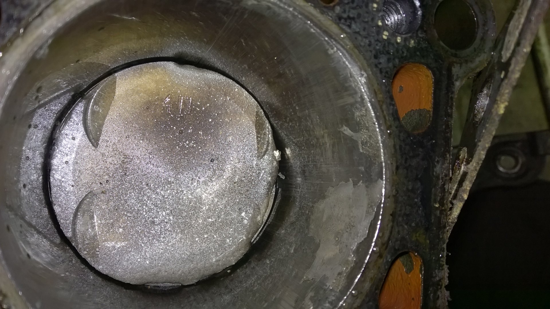 WP_20190623_029.jpg