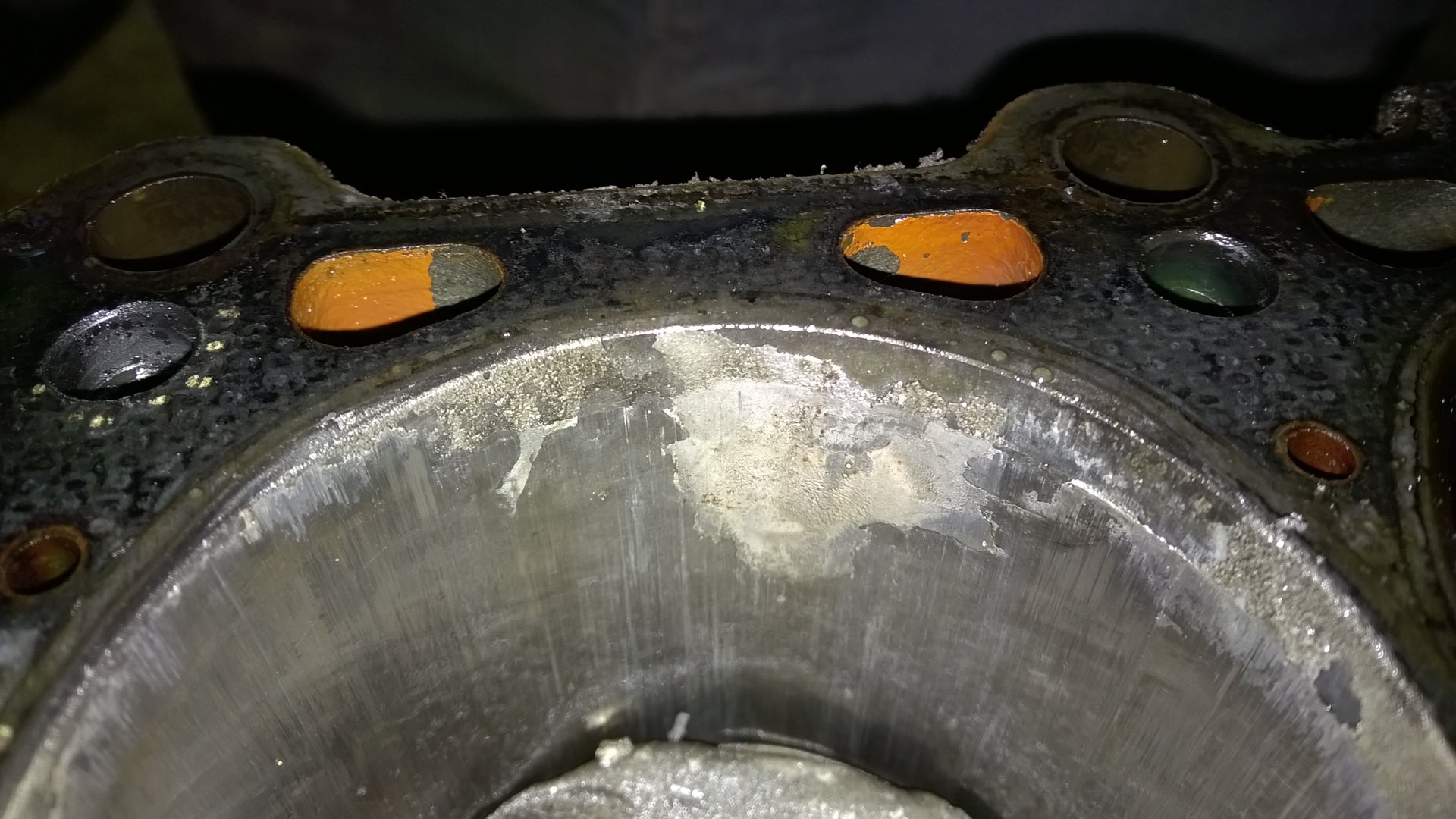 WP_20190623_033.jpg