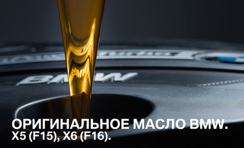 oil-f15_f16_ru.jpg