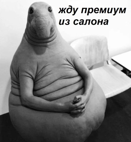 zhdun3.jpg