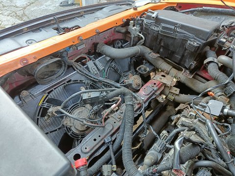 IMG20250706192551.jpg