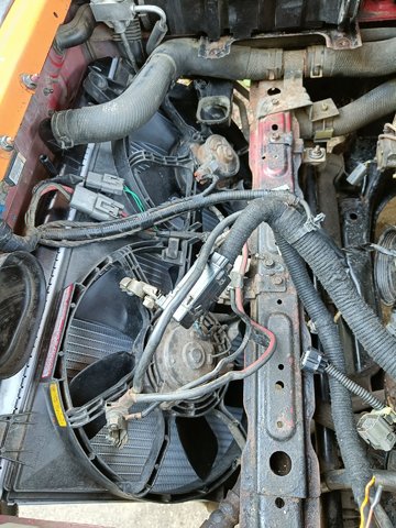 IMG20250706192601.jpg