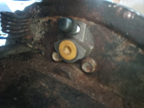IMG20250817183224.jpg