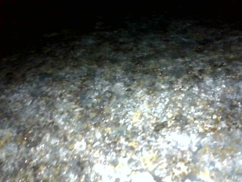 Image_2025-08-31 16_12_26_842.jpg