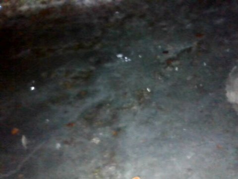 Image_2025-08-31 16_12_59_988.jpg