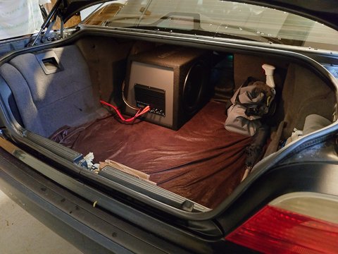 20251009_083419316.JPG