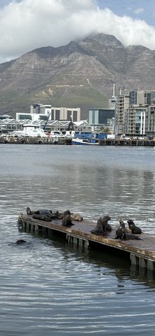 IMG_5455.jpeg