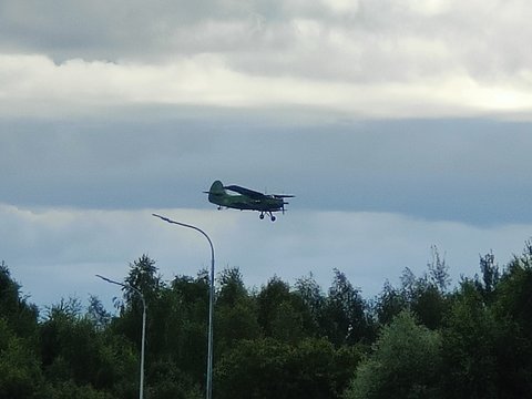 IMG20250822091140.jpg