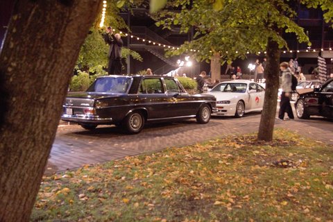 IMG_1239.jpg