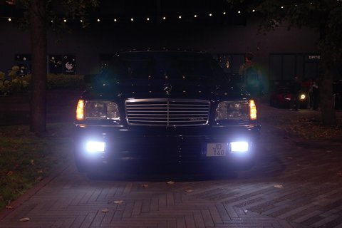 IMG_1248.jpg